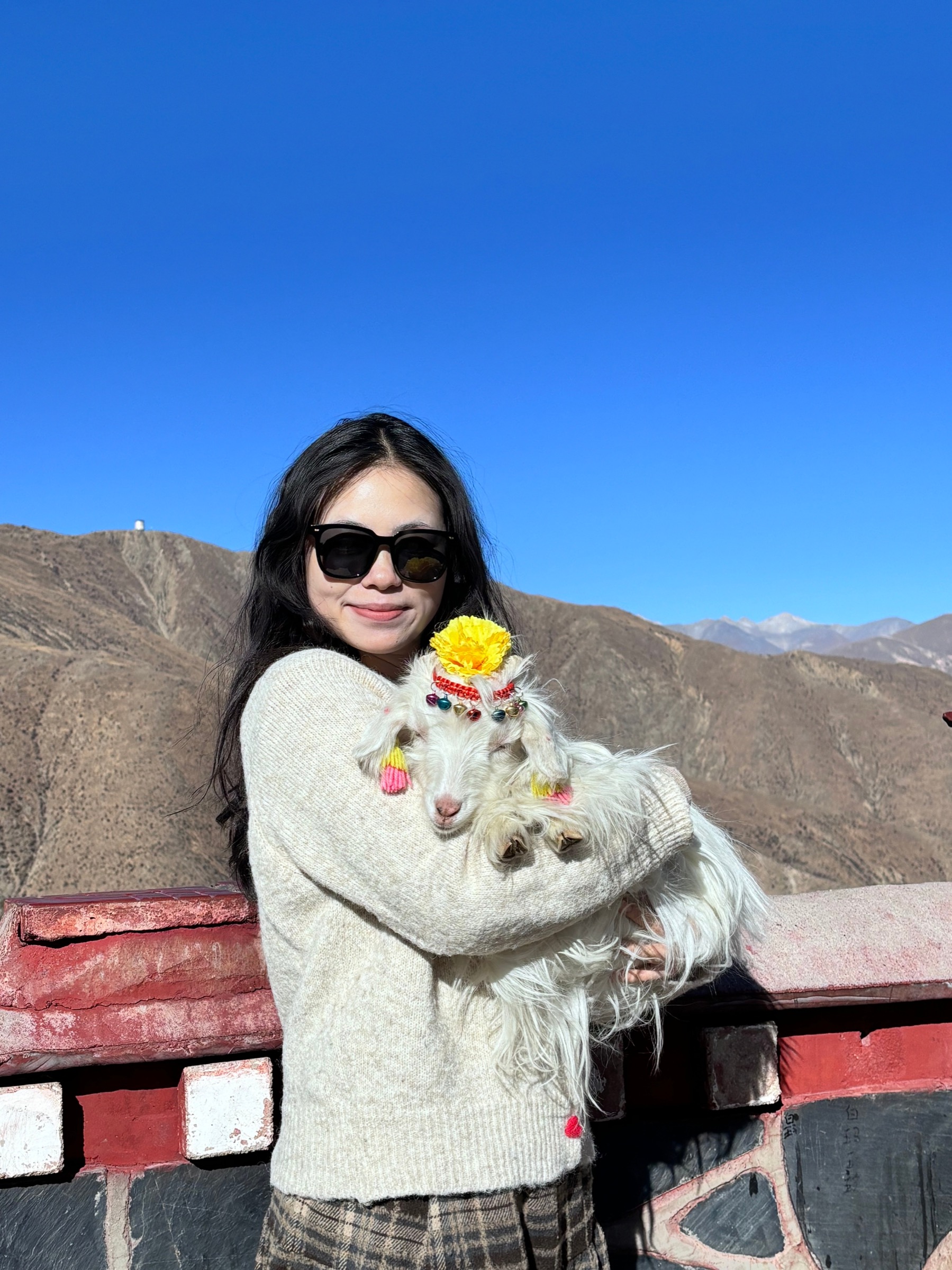 旅行中与小羊合影